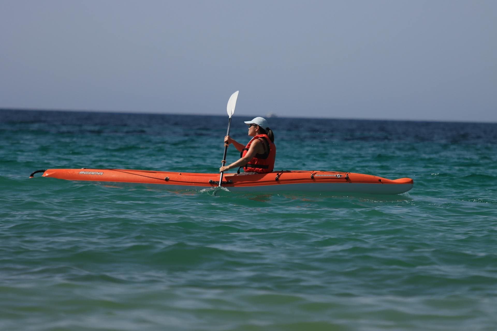 Marine Life & Coastal Kayaking