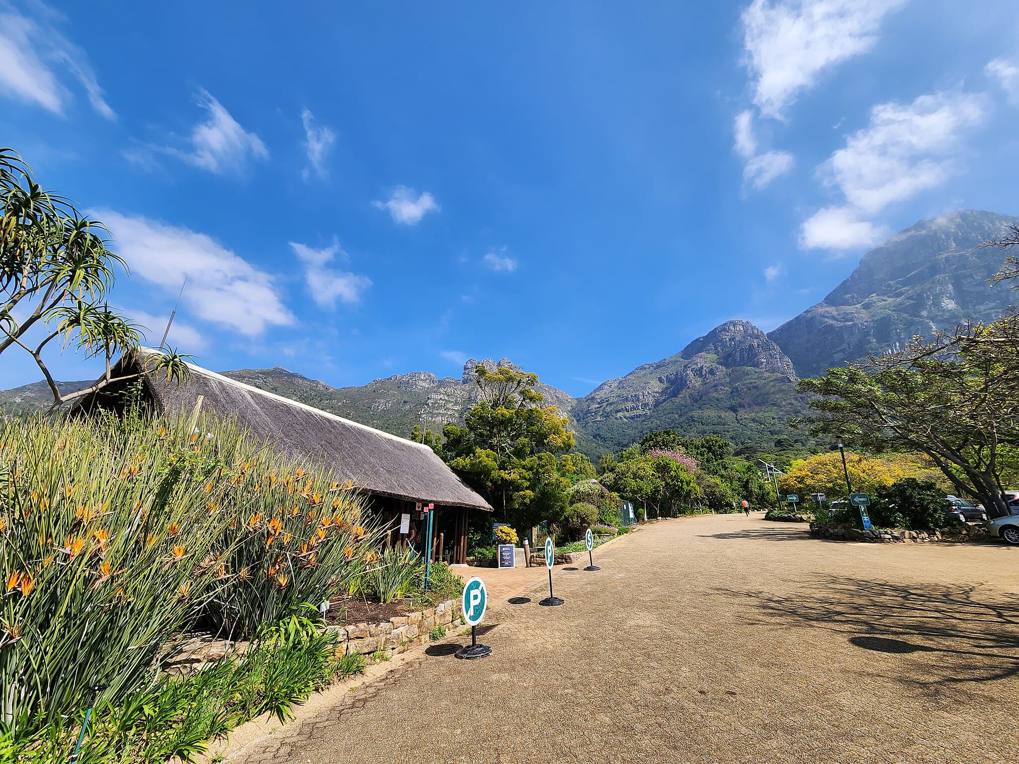 Kirstenbosch Gardens