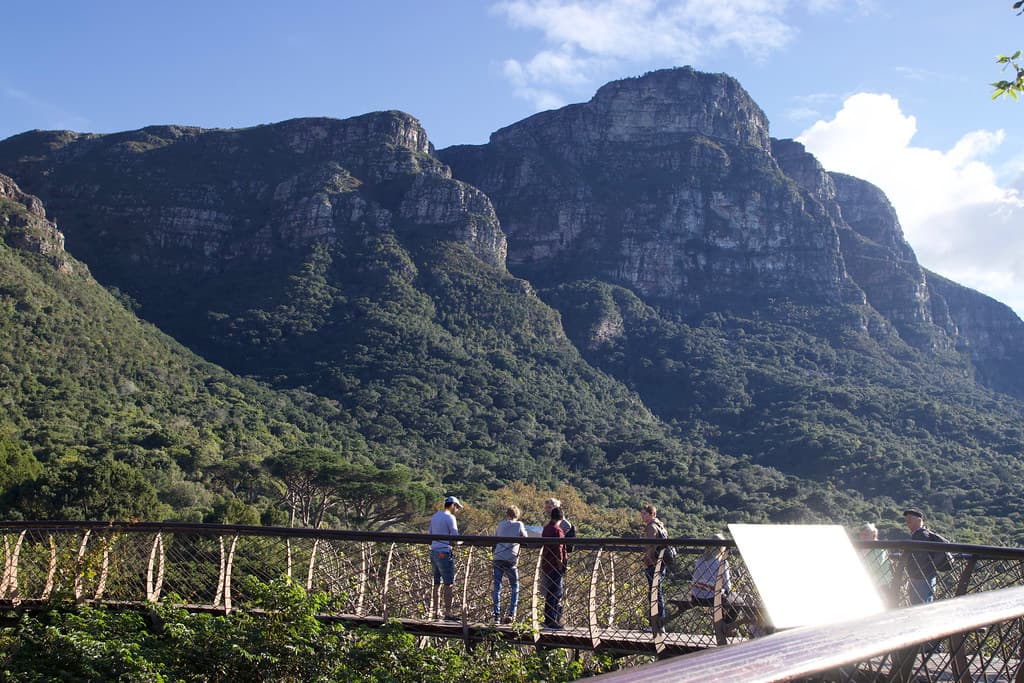 Kirstenbosch Botanical Gardens Canopy Walk