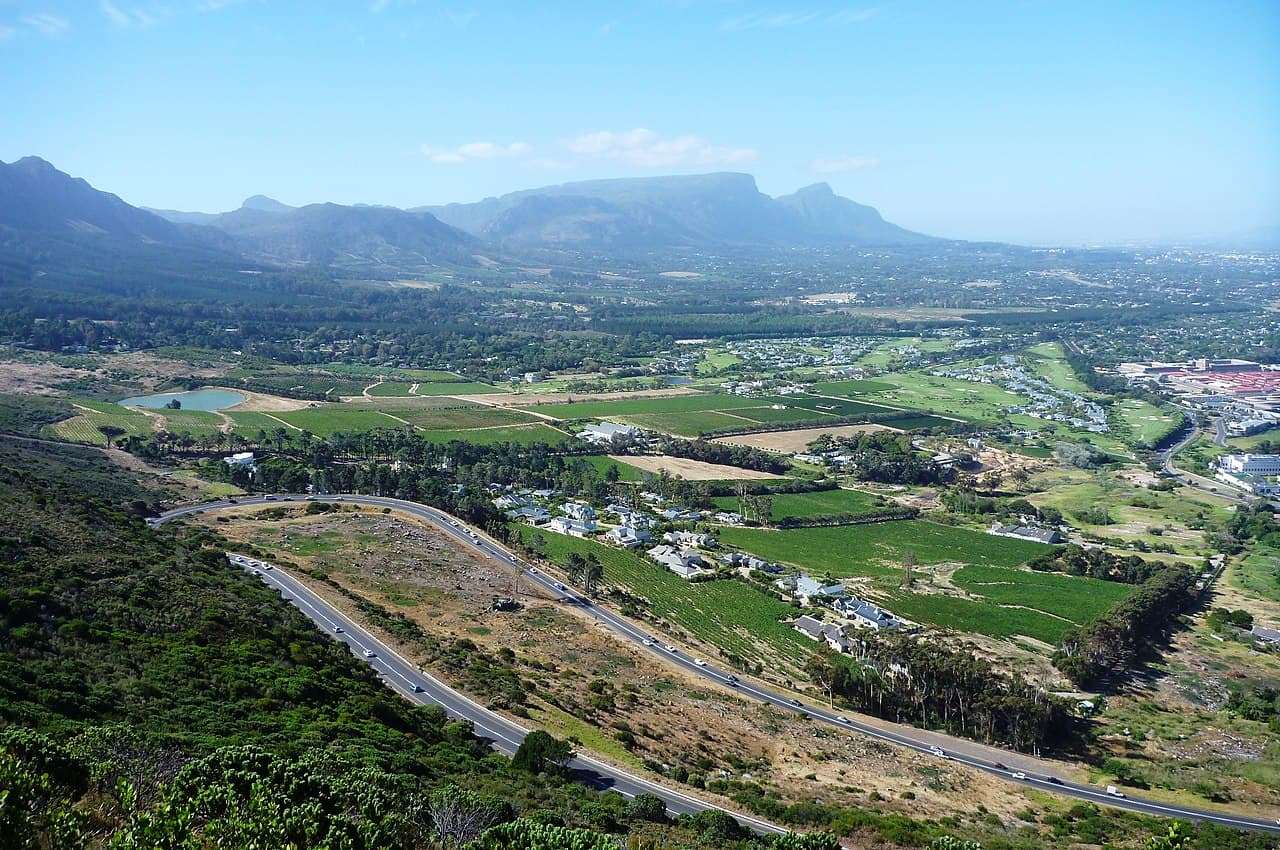 Constantia Valley Wine Tasting & Lunch